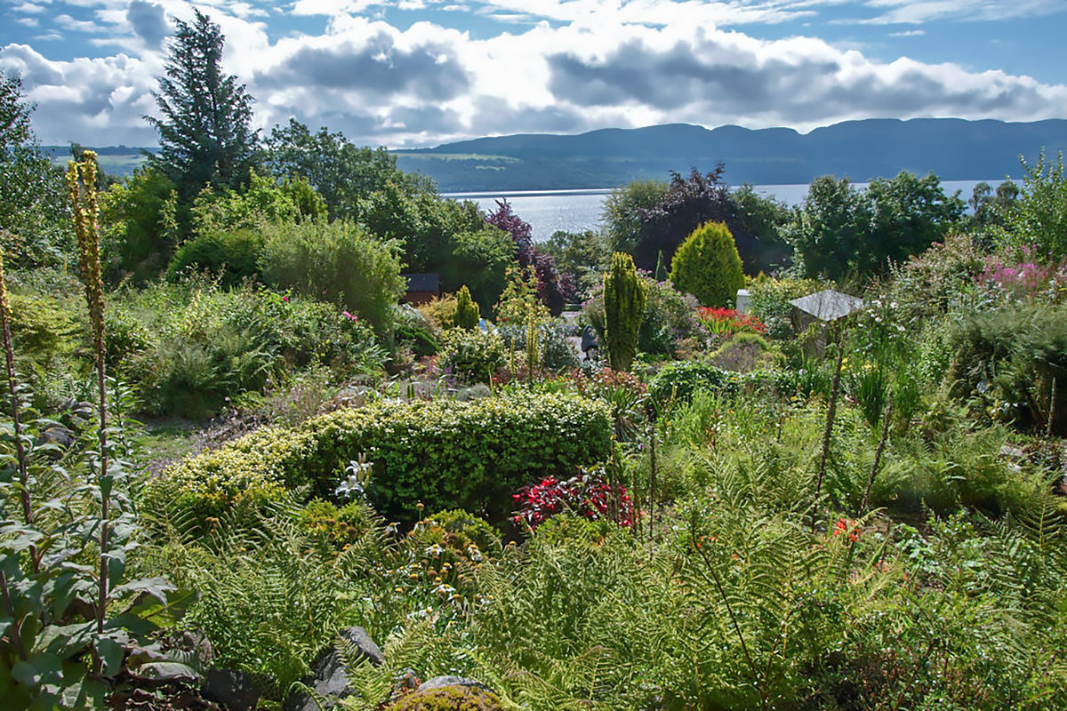 Abriachan Nurseries And Garden On Loch Ness